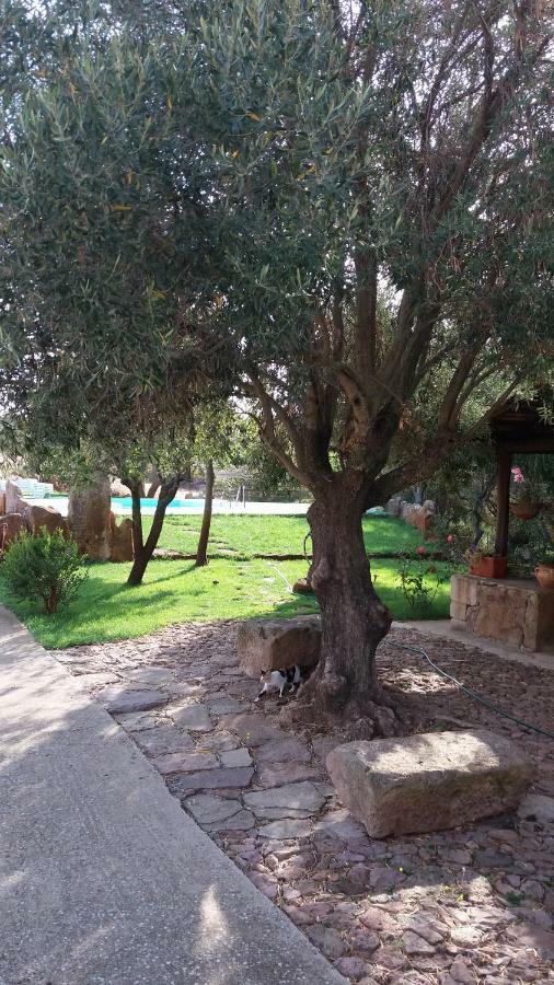 Agriturismo Sa E Padedda Mores Exterior foto